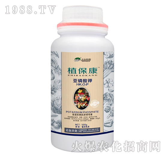 500gֲ����-���_(t��i)��