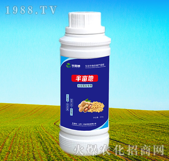 �󶹻��������~���-�뮀��