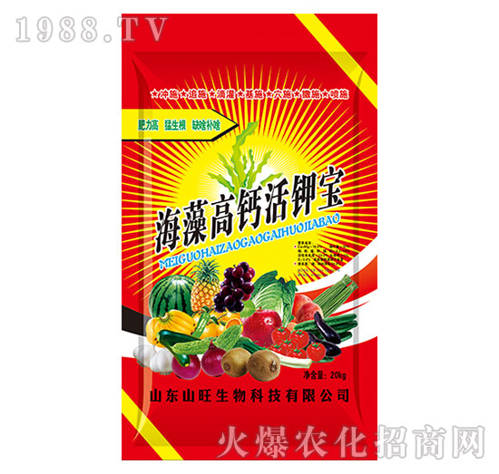 ������}��⛌�-ɽ������