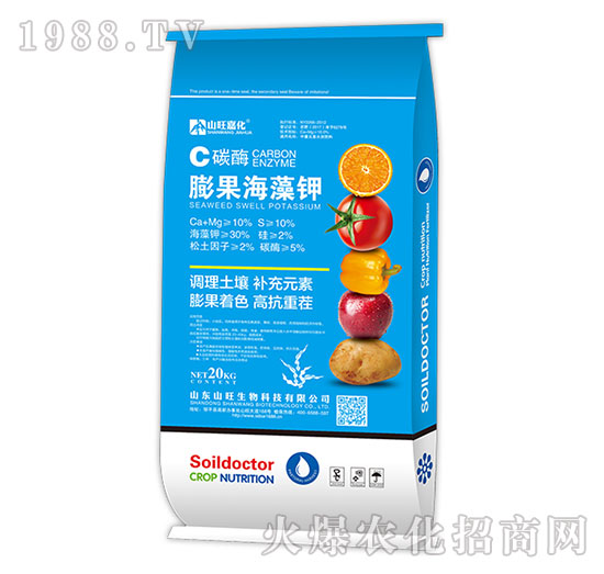 ̼ø��������-ɽ������