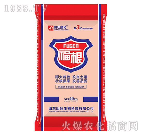 ����-ɽ������