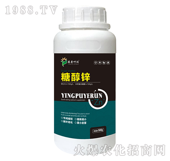 �Ǵ��\-Ӣ���~��