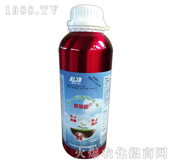 ��һ��ֲ������-����-�����