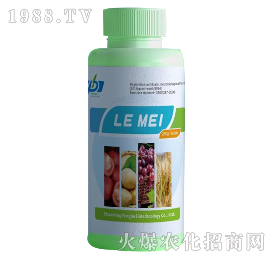 ����-�����