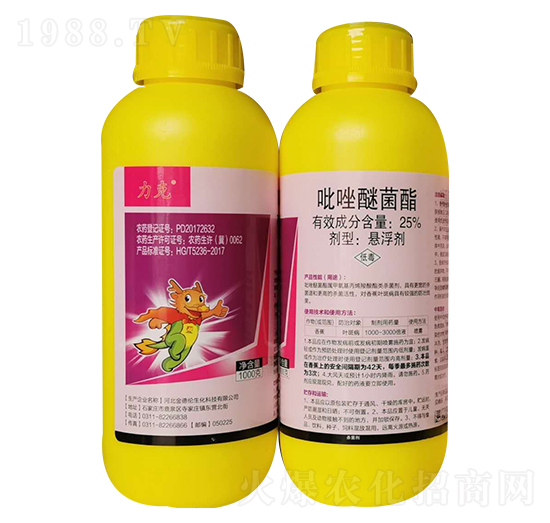 25%�����Ѿ���-����-���