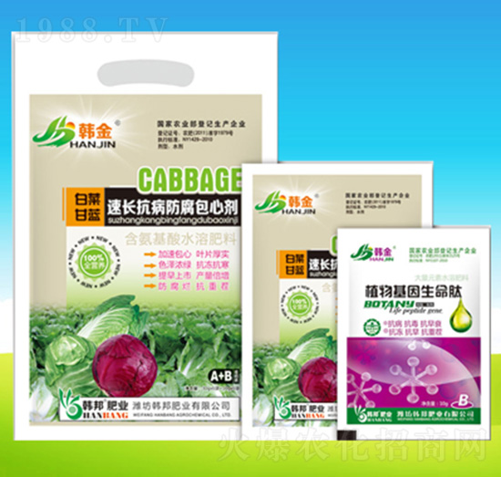 白菜甘藍速長抗病防腐包心劑-韓邦肥業(yè)