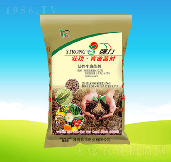 �������������-�n��ʘI(y��)