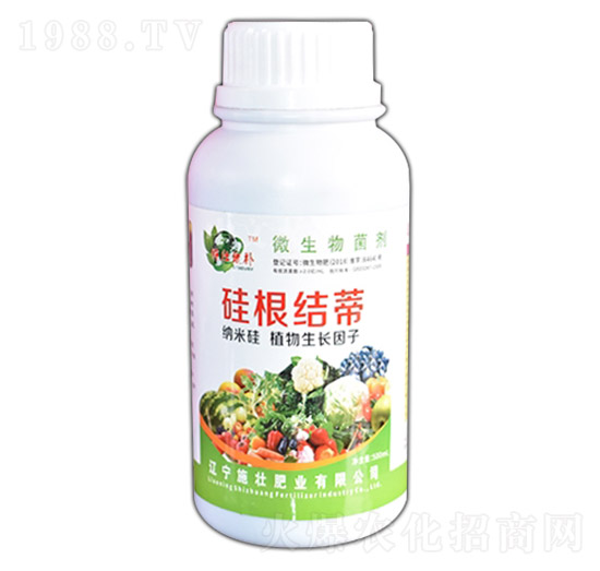 ����Y��-ʩ�ѷʘI(y��)