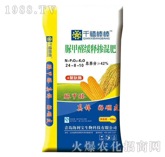 ���ȩ��ጓ����24-8-10-ǧ������-��