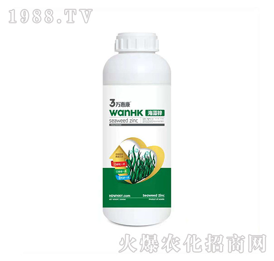 �����\-�f�ݿ�