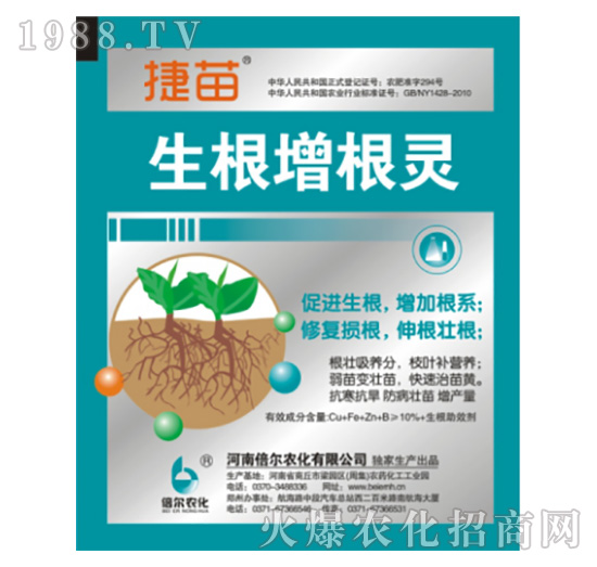 ���������`-����-����