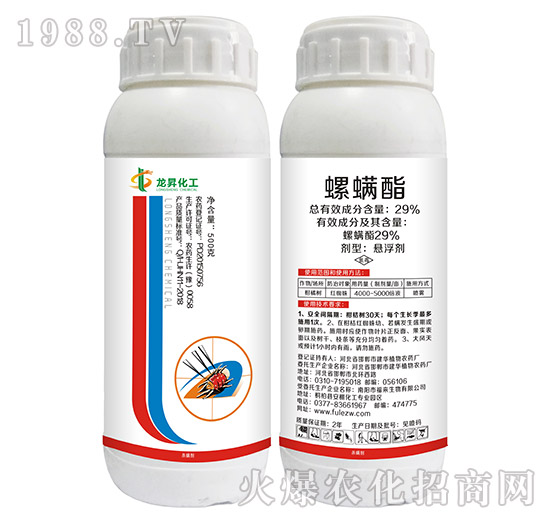 29%������-���N����