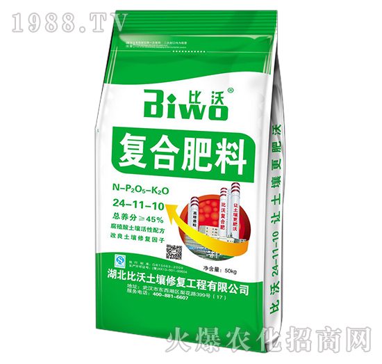 �ͺϷ���24-11-10-����