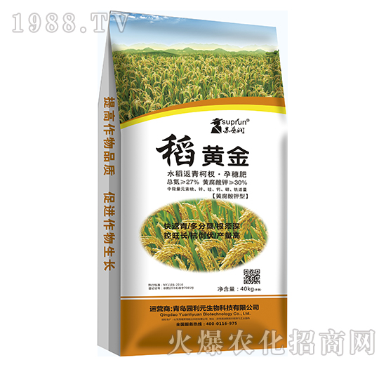 ���S��-�@��Ԫ