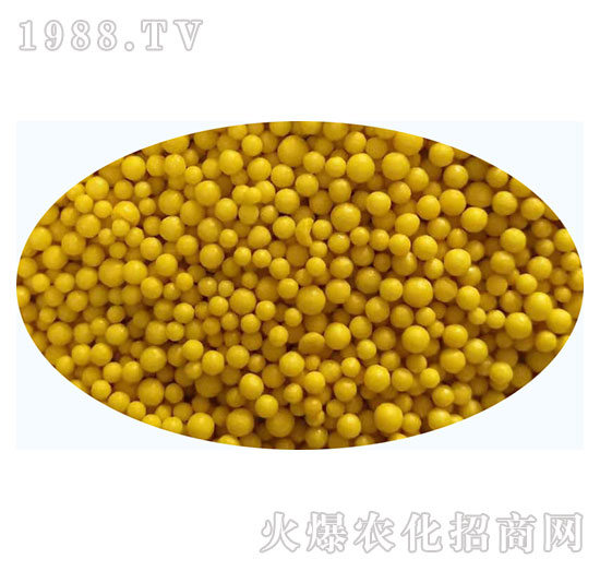 �w����Ʒ5-���ʿطʘI(y��)