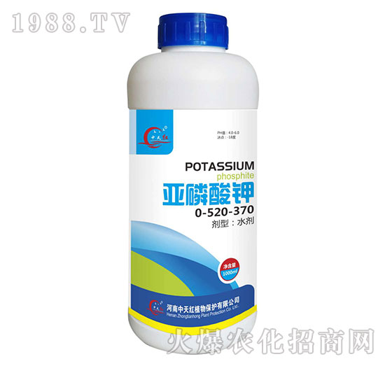 �������0-520-370-����t