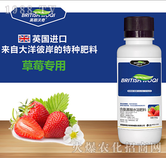 ��ݮ��(zhu��n)�ú�������ˮ�ܷ���-Ӣ������