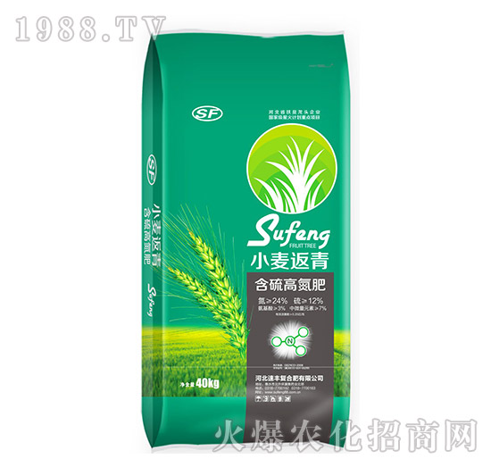 С�����ຬ��ߵ��ʣ��G����-���S