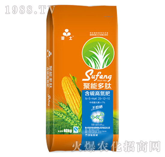 ���ܶ��ĺ���ߵ���25-12-10-���S