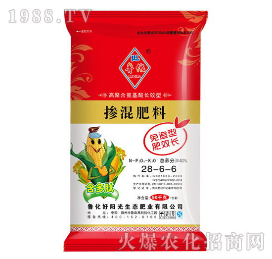 �������28-6-6-����