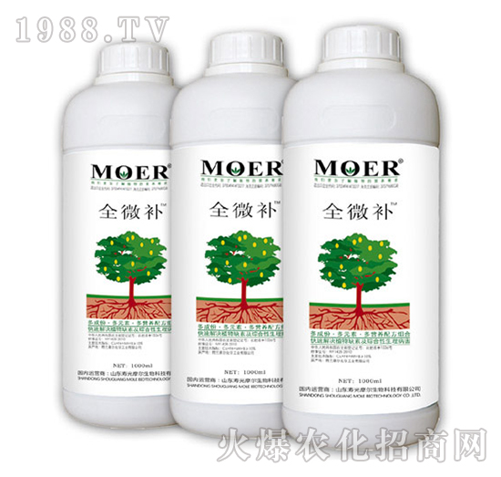 ȫ΢�a-Ħ������