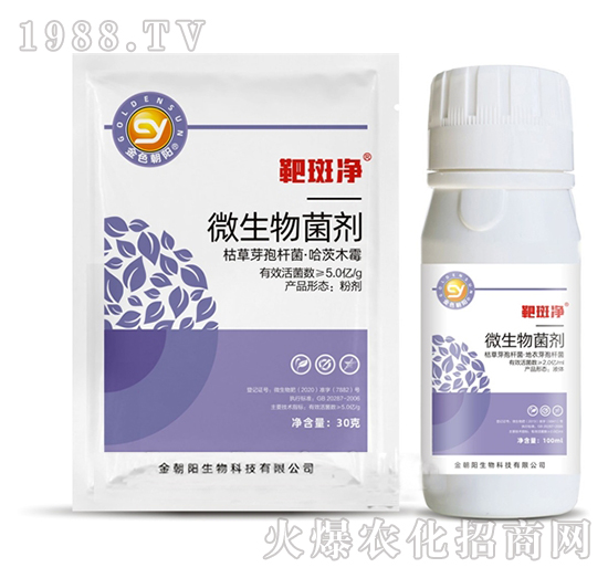 ΢�������-�а߃�-���(y��ng)