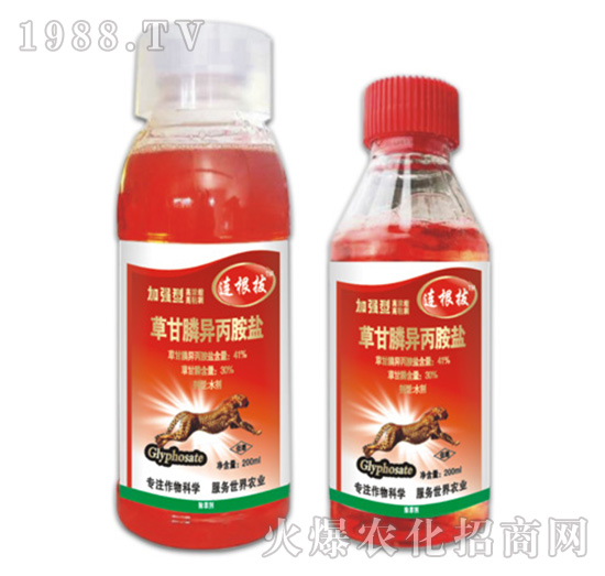 41%�ݸ�좮������}-�B����-�ݵ�˹