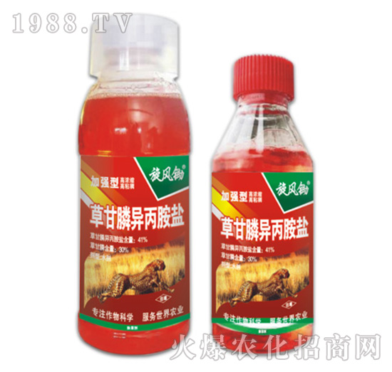 41%�ݸ�좮������}-���L�z-�ݵ�˹