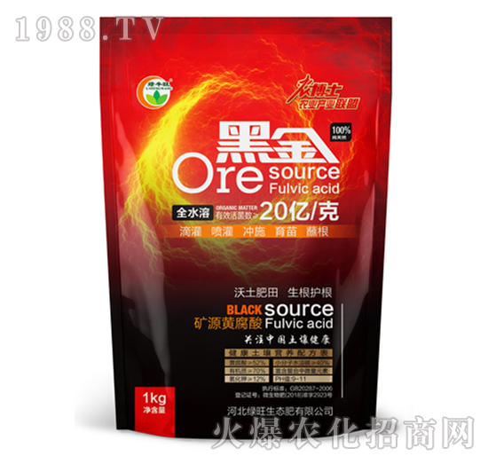 �VԴ�S����-�ڽ�-�G��