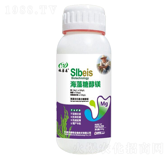 �����Ǵ��V-ʩ��ɭ-��ɭ��