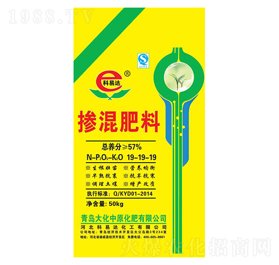 �������19-19-19-�����_