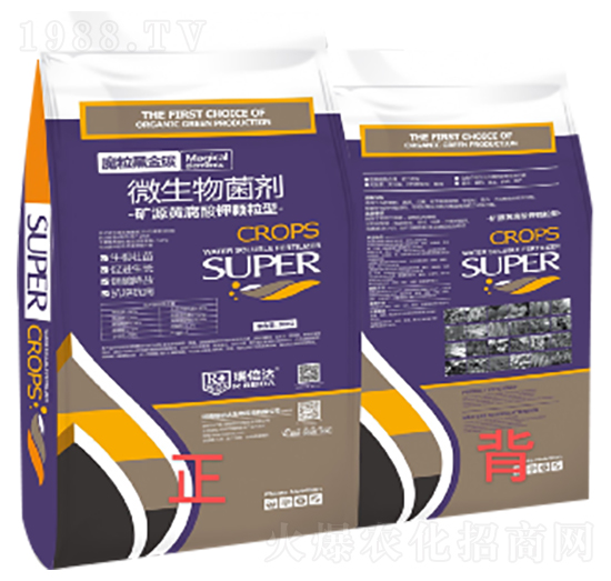 ħ���ڽ�̼-���_(d��)