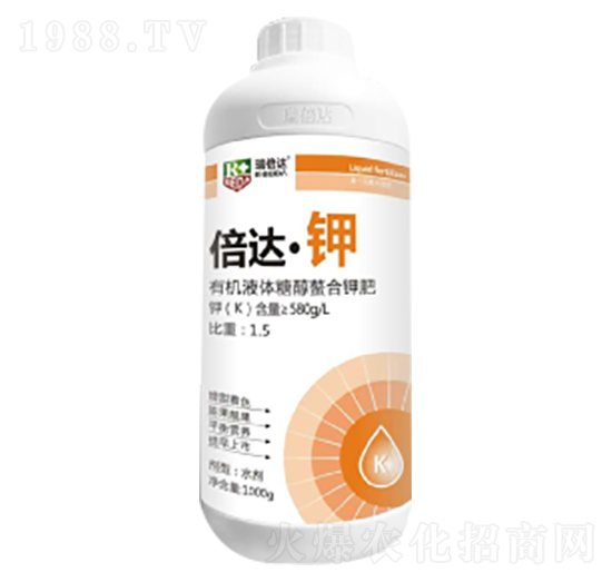 1000g���_(d��)���-���_(d��)