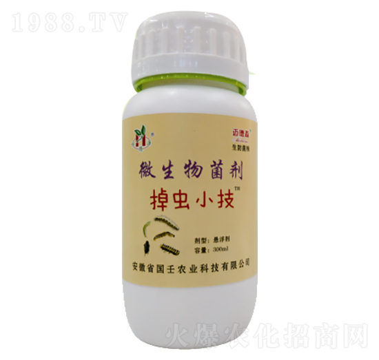 ΢�������-���xС��-��������