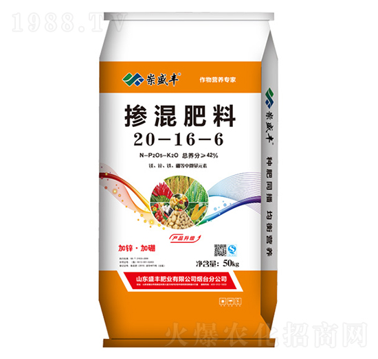 �������20-16-6-ʢ�S�ʘI(y��)