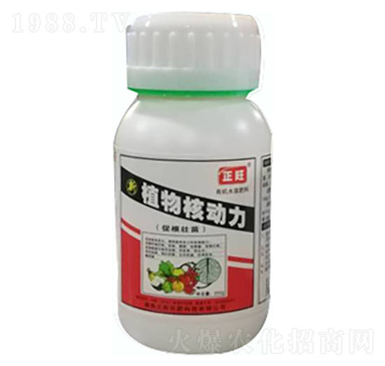 ֲ��˄���-�����r(n��ng)��