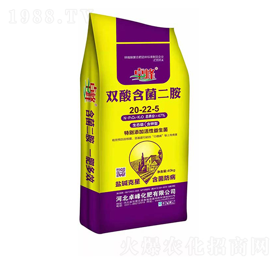 �p�Ậ������20-22-5-׿��