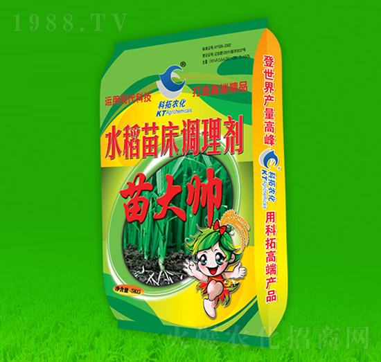 ˮ���紲�{�턩-���-�����r��