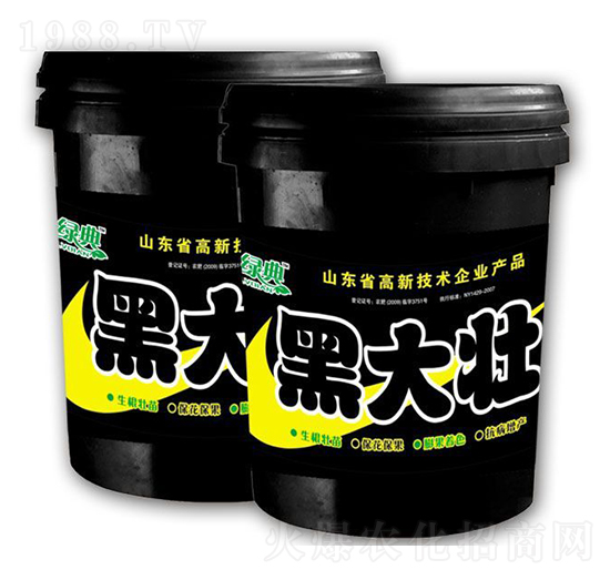 �ڴ��-��������