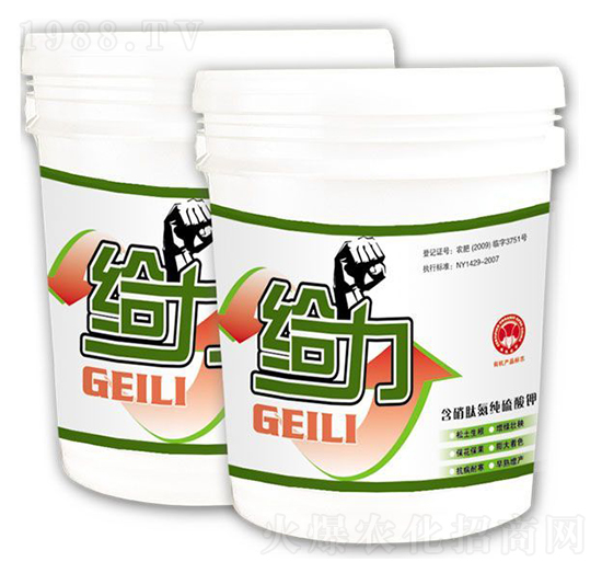 �����B(t��i)���������-�o��-��������