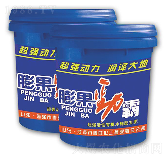 ����Ű�-��������