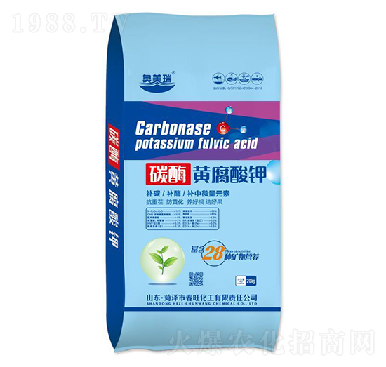 ̼ø�S�����-�W����-��������