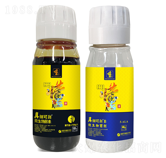 �漚�ɄxA+�漚�ɄxB-���ý�