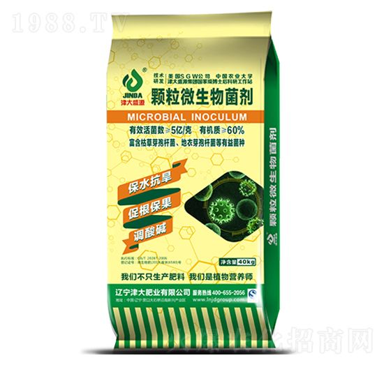 �w��΢�������-���ʢԴ