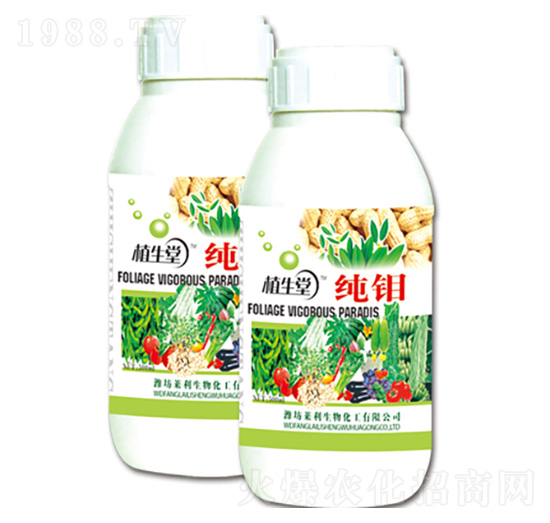 ���f ֲ���� �R������