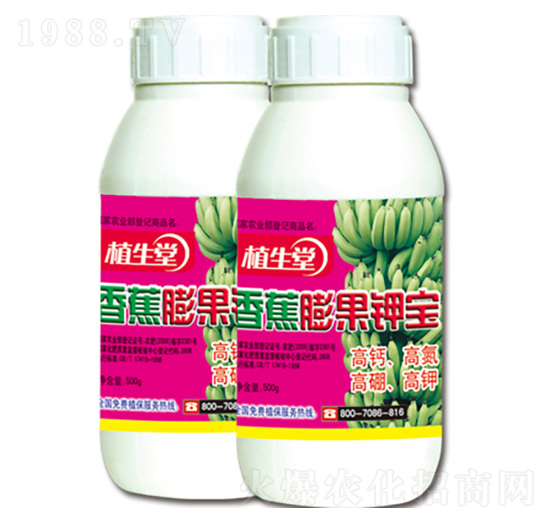 �㽶���⛌� ֲ���� �R������