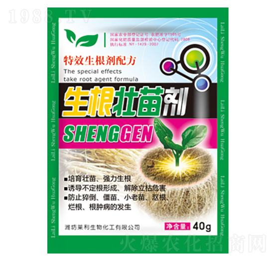 �������焩 �R������