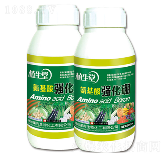 �����Ꮚ���� ֲ���� �R������