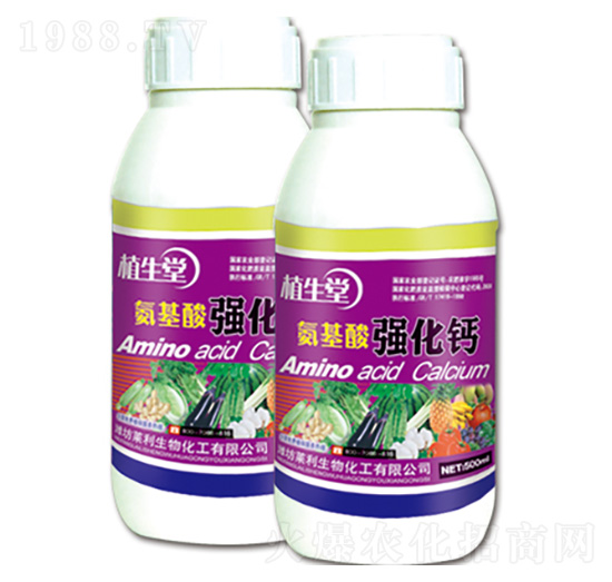 �����Ꮚ���} ֲ���� �R������