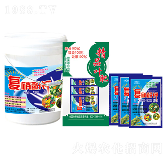 �������c �R������